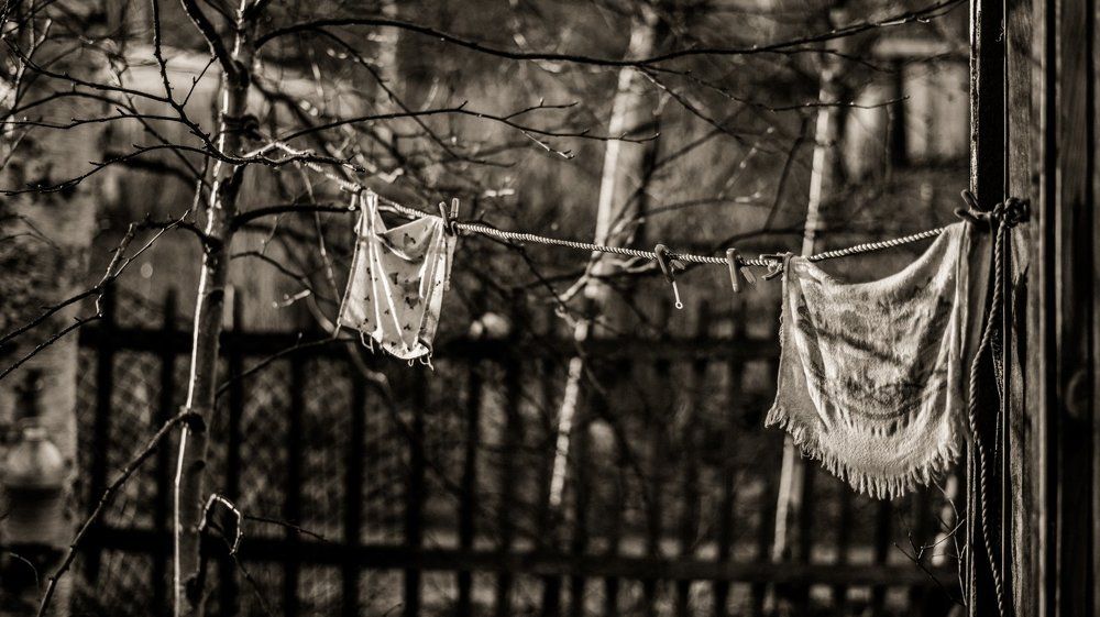 Life in the backyard