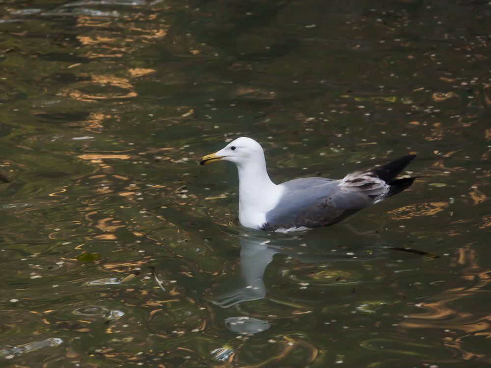 Photograph by Mary Petrova