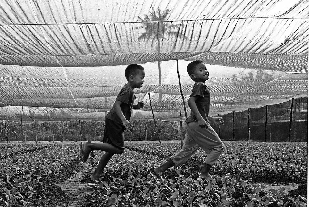 Nature Playground