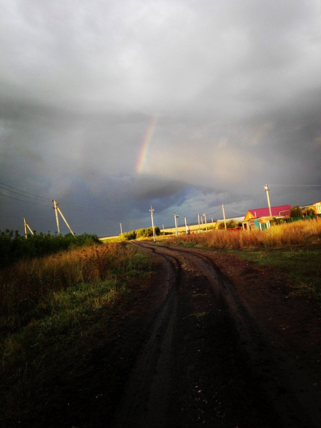 Photo #1765306