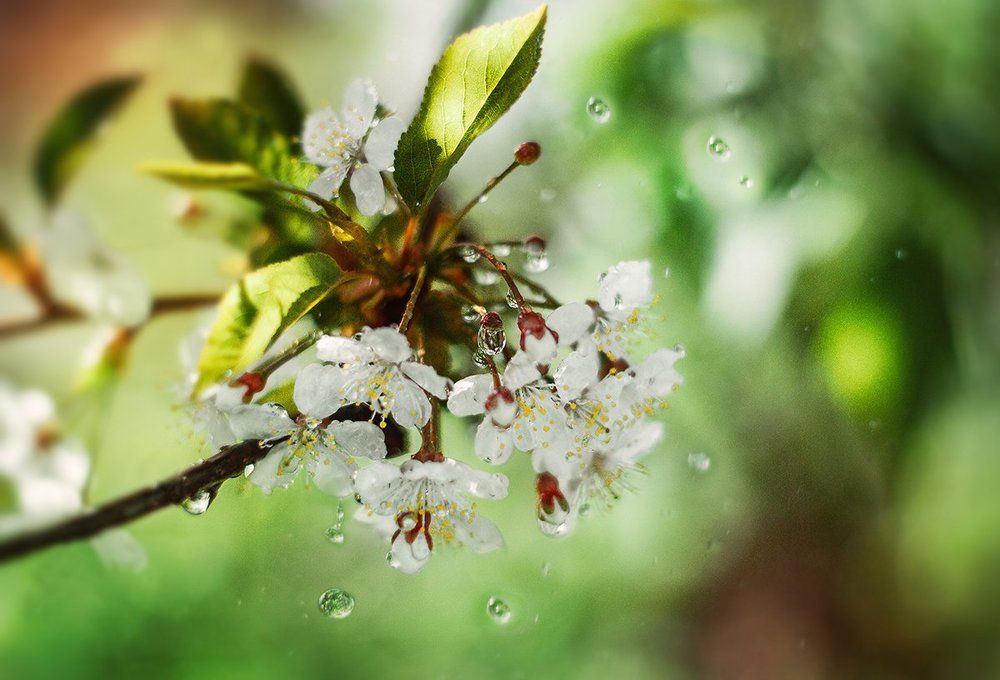 Photograph by Чернякова Анна