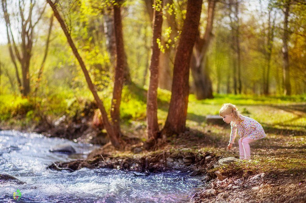 Тёплый майский день в парке