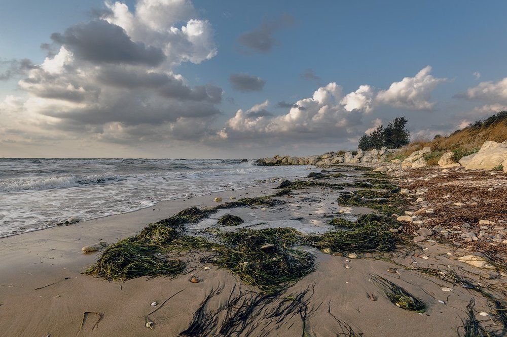 Августовский шторм