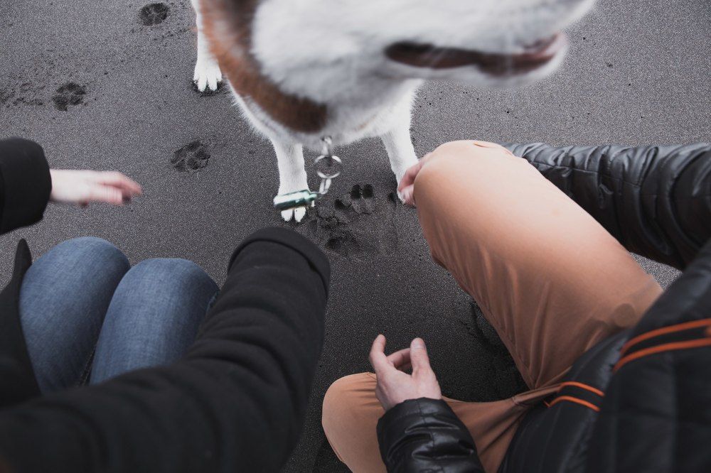 Ребята, Тихий океан и Барт