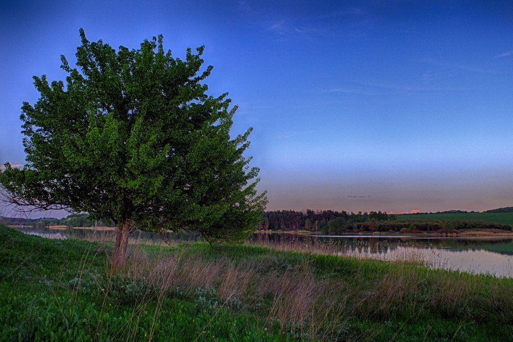 Photograph by Александр