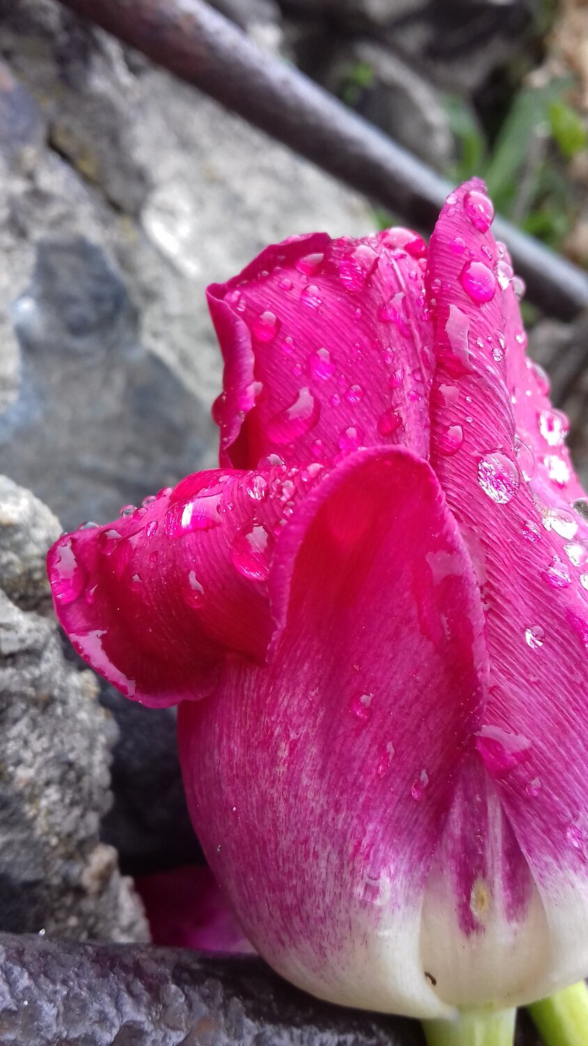 Photo #1766317