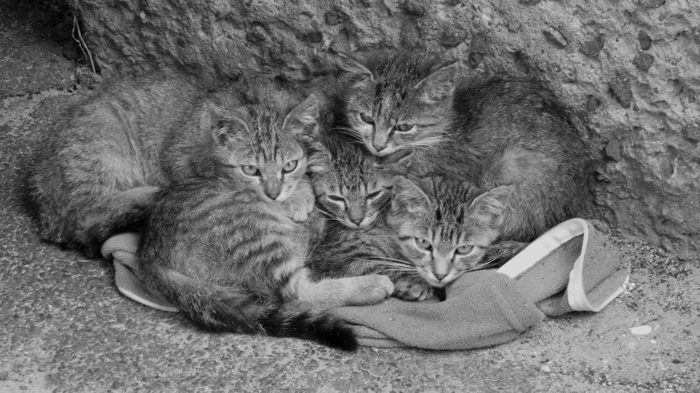 в тесноте да не в обиде