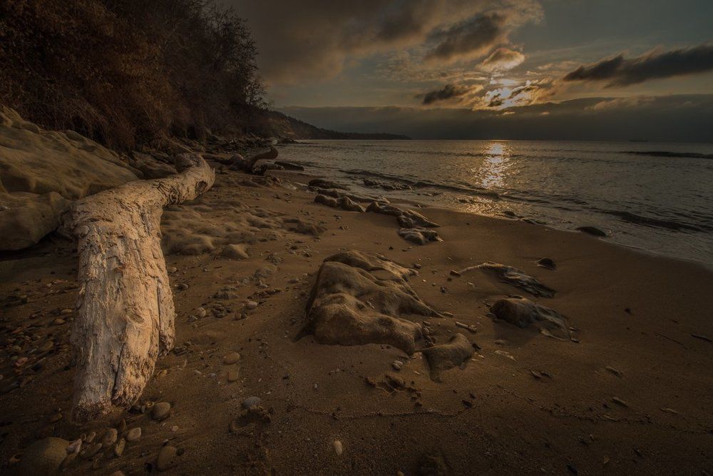 Фотография автора stoyan pavlov