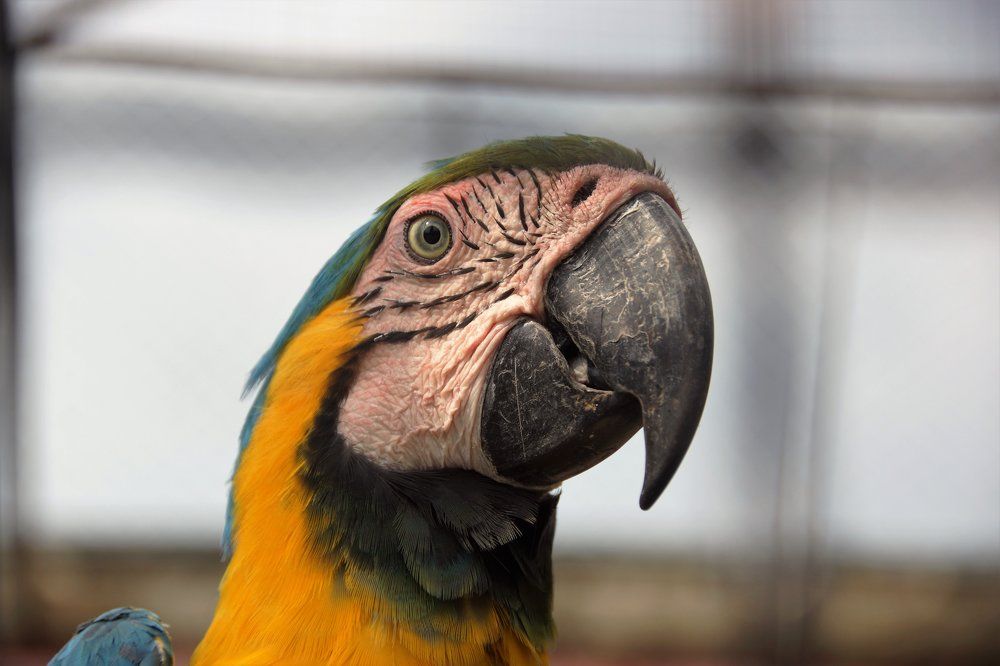 Photograph by вадим аврахов