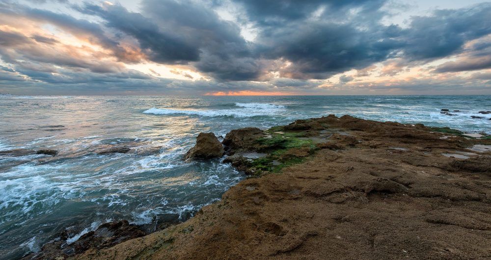 Фотография автора Анатолий