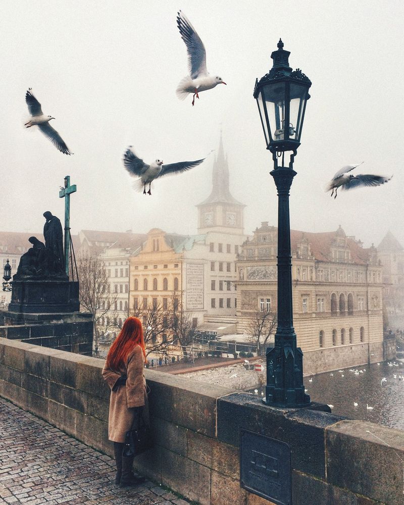 birds in Prague