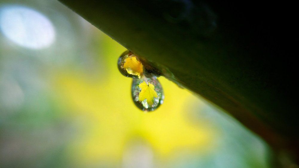 Water drop