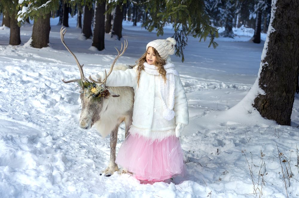 В зимнем сказочном лесу