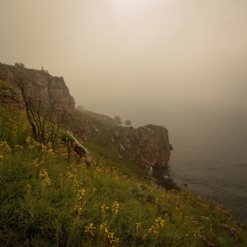 Фотография автора stoyan pavlov