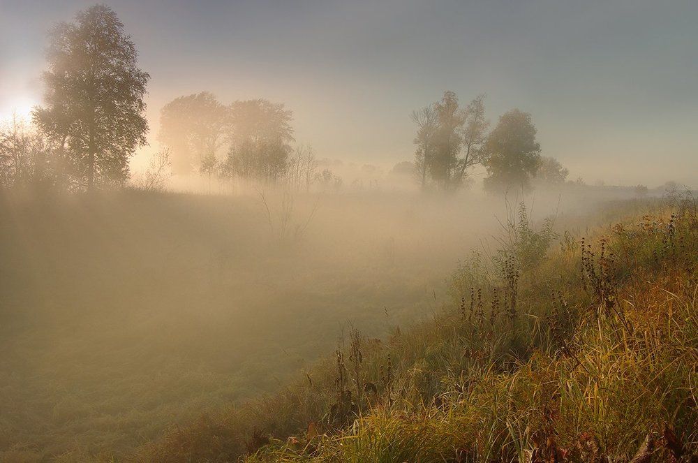 В утреннем свете
