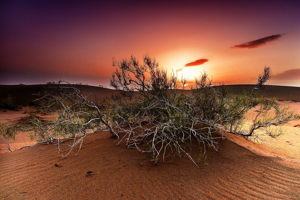 Morning Maranjab