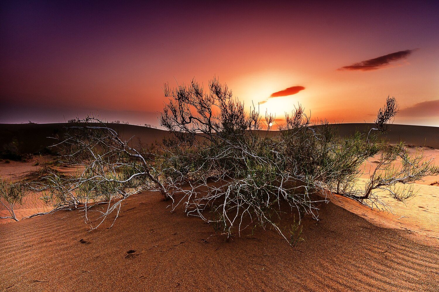 Morning Maranjab