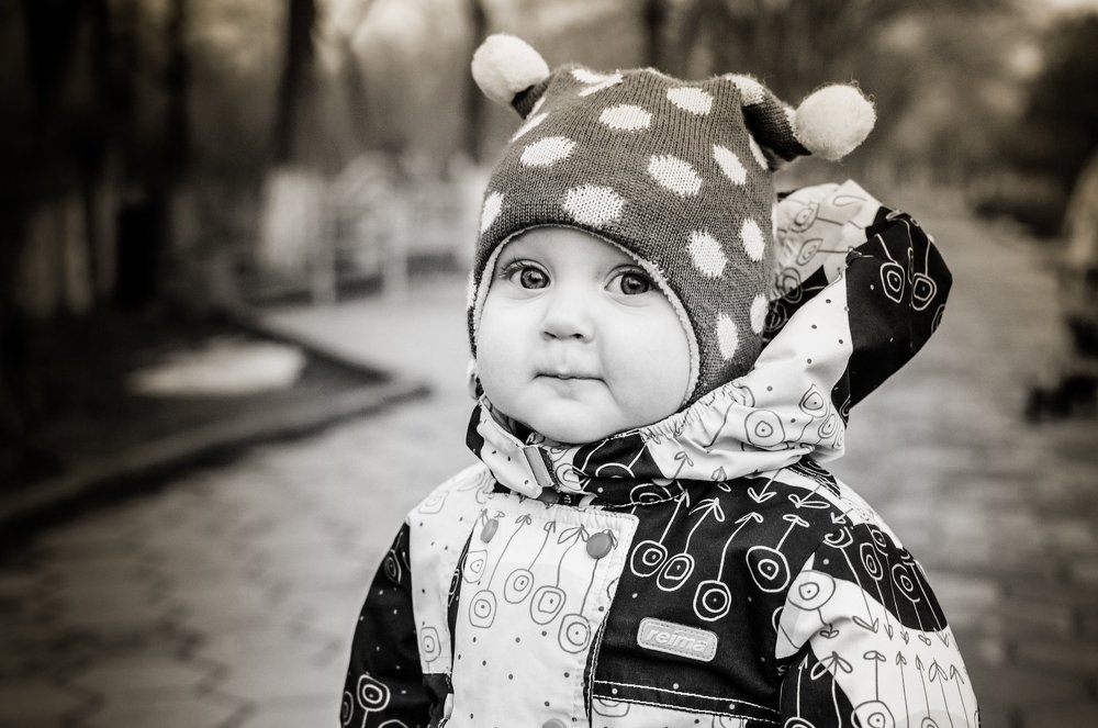 Фотография автора Дарья Шевченко