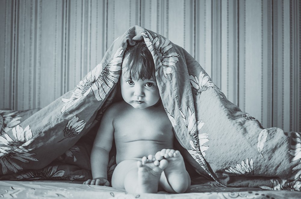 Фотография автора Дарья Шевченко