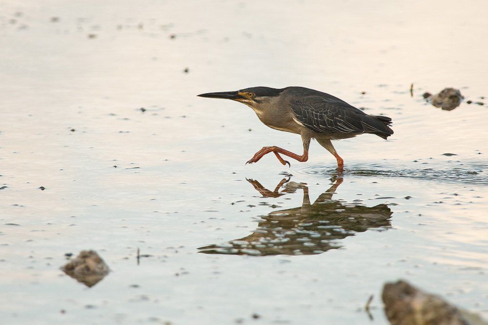 Нормальные герои всегда идут...