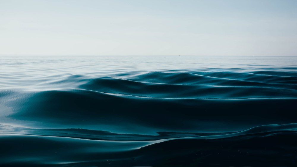 Photograph by Екатерина Соломатина