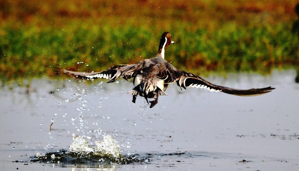 just Takeoff.