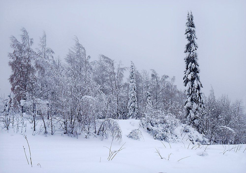 Студёное дыхание зимы.