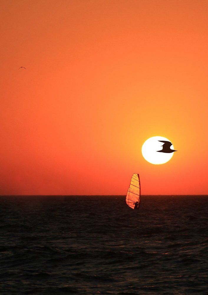 Парус одинокий