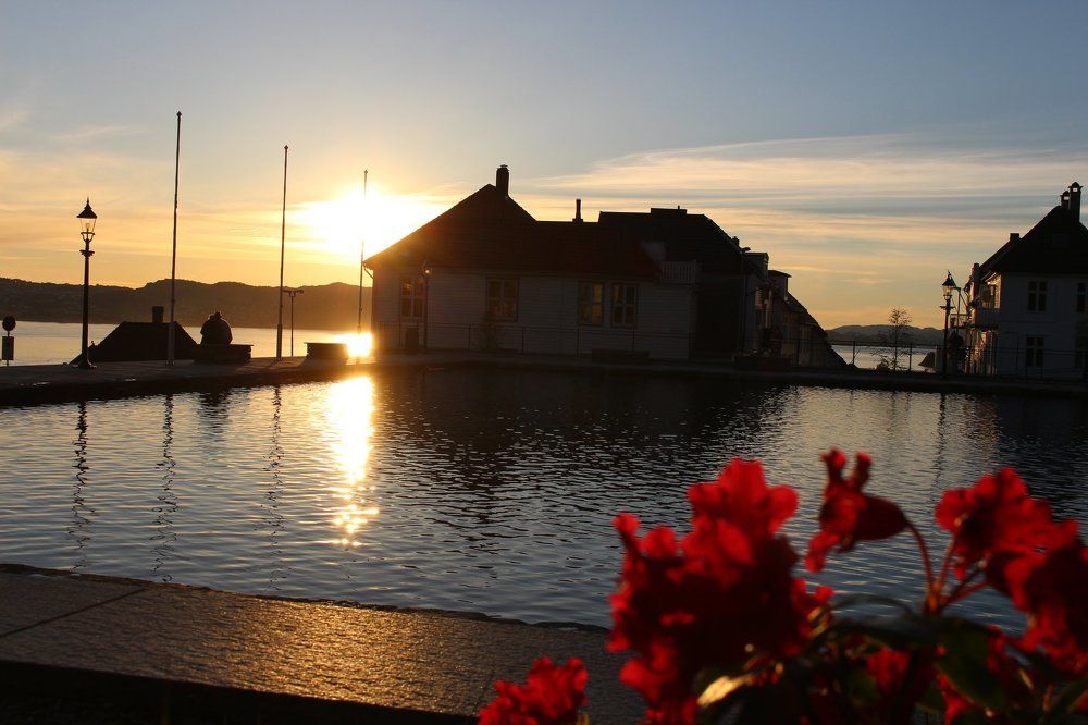The Sunset
