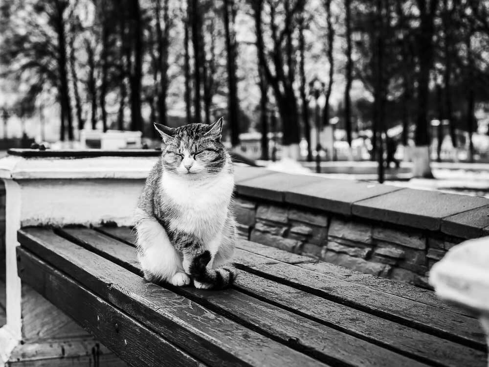 Закимарил.....