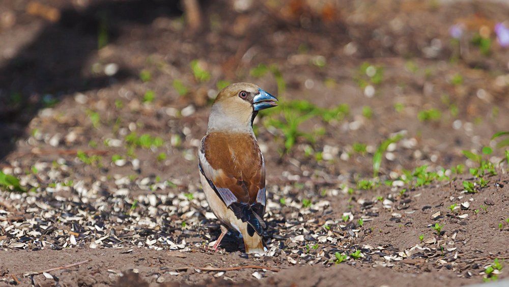 Он отлянулся посмотреть...