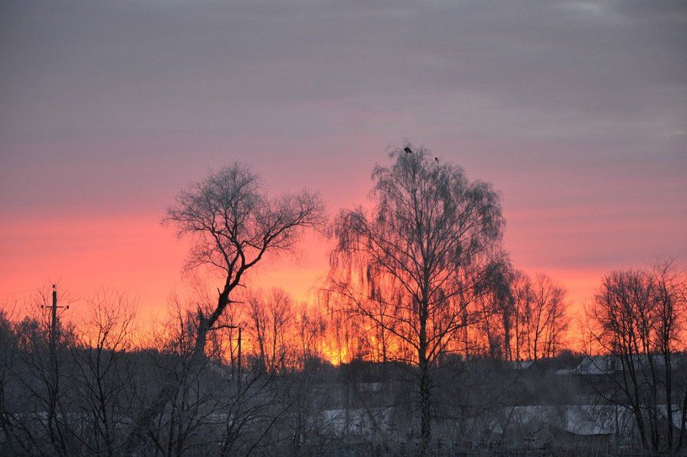 Утренний зимний туман.