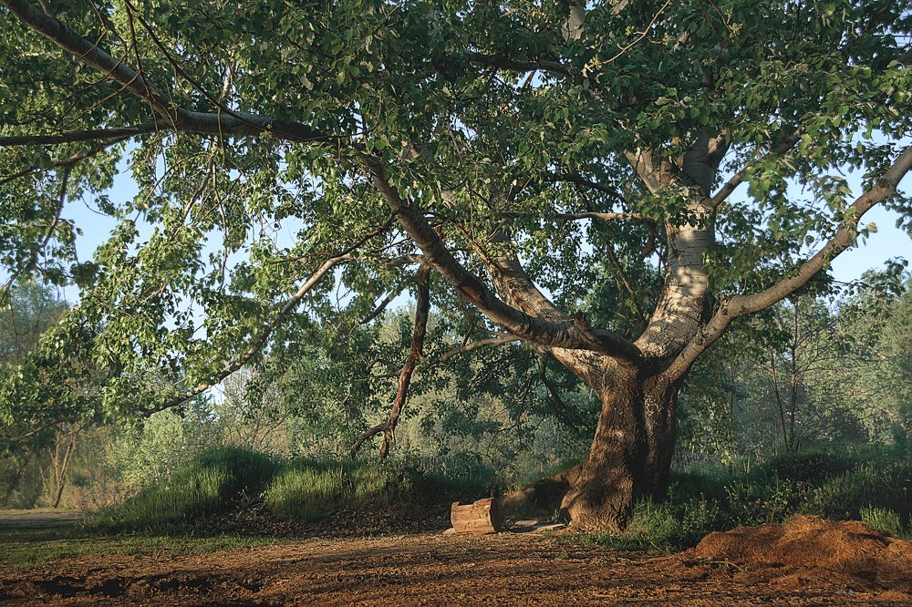 Притяжение