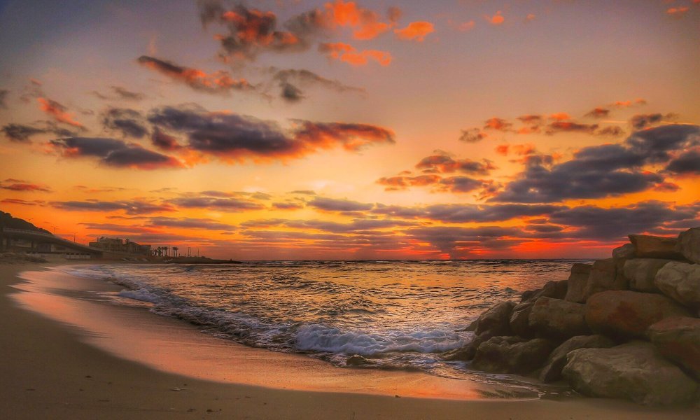 Хайфа Бат-Галим