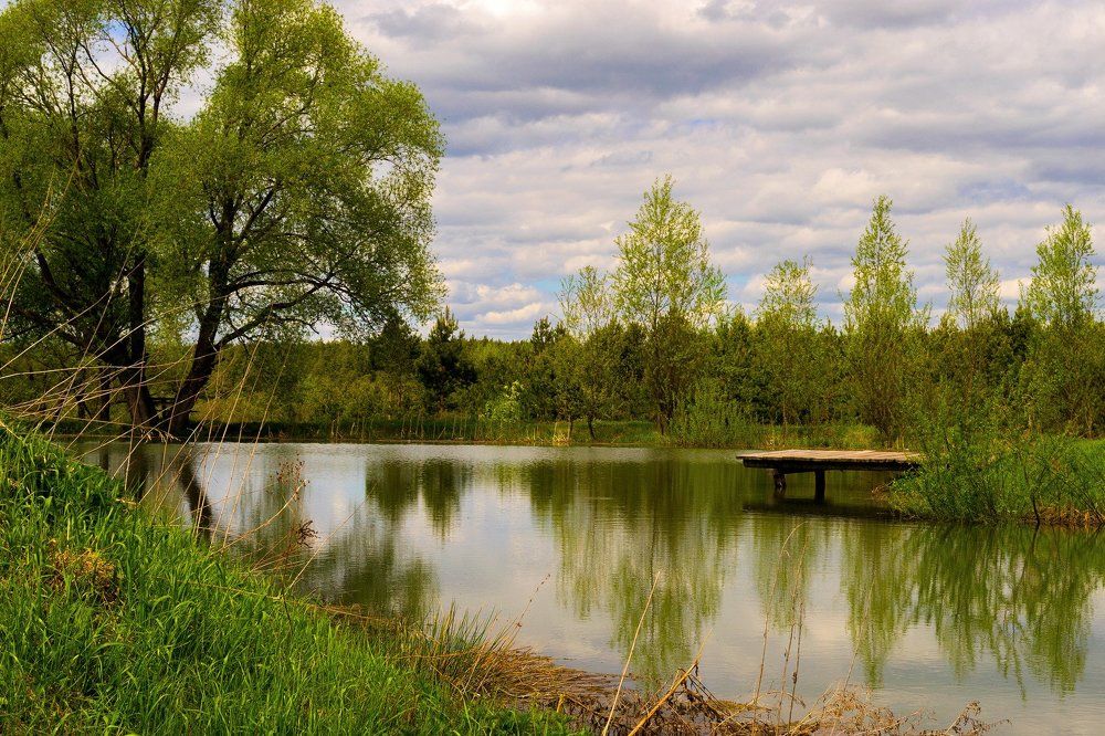 Тихая заводь