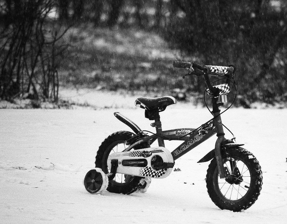 Одинокий зимний путник