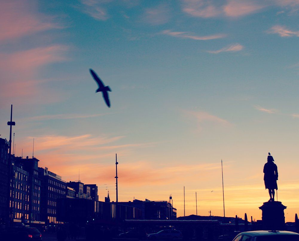 Fly with sunsent