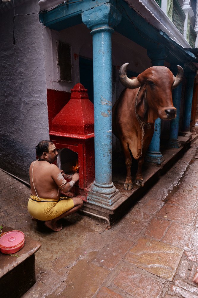 street of banaras........