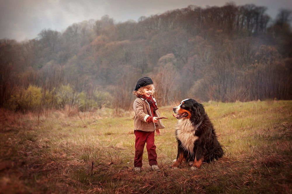Два товарища