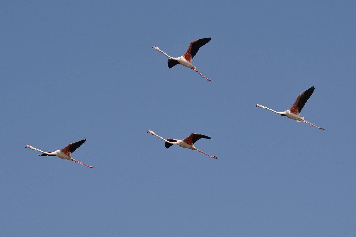 Unity ( Flying Motion )