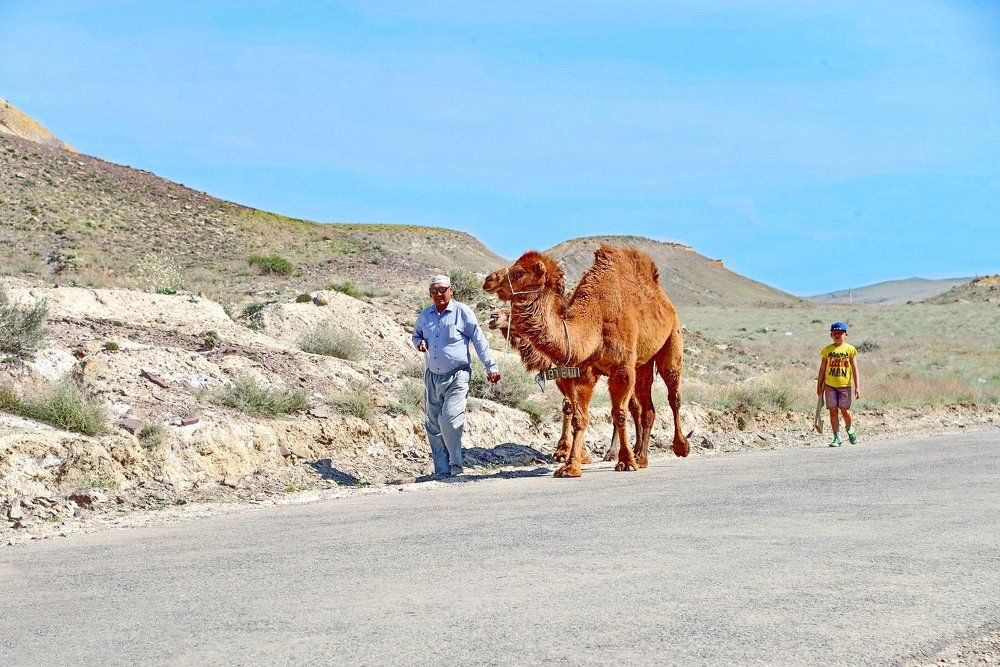 Встреча в пути