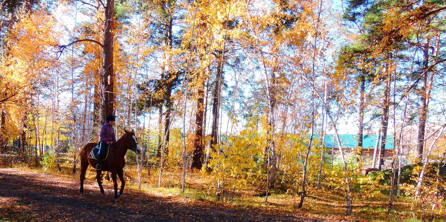 осень