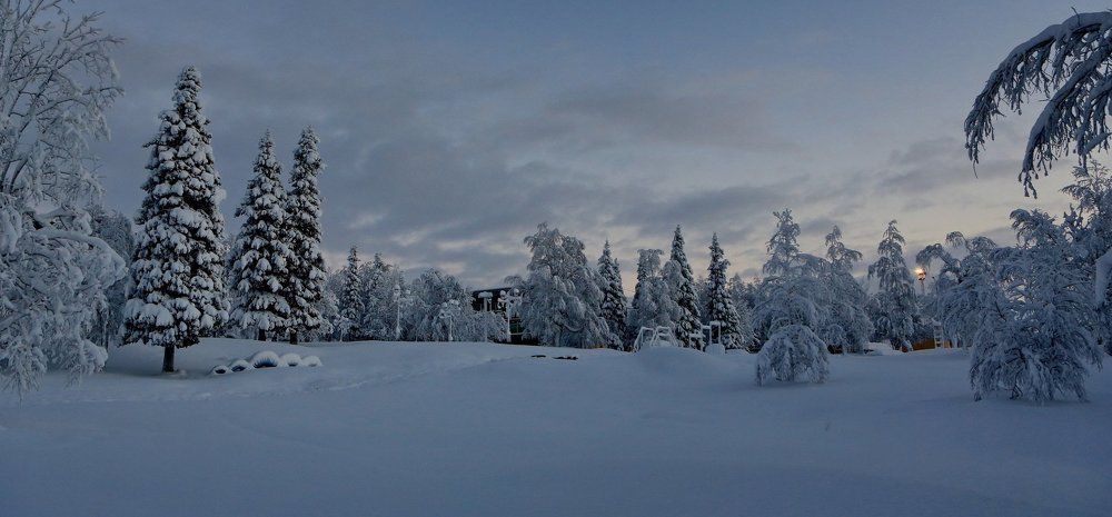 День в полярную ночь