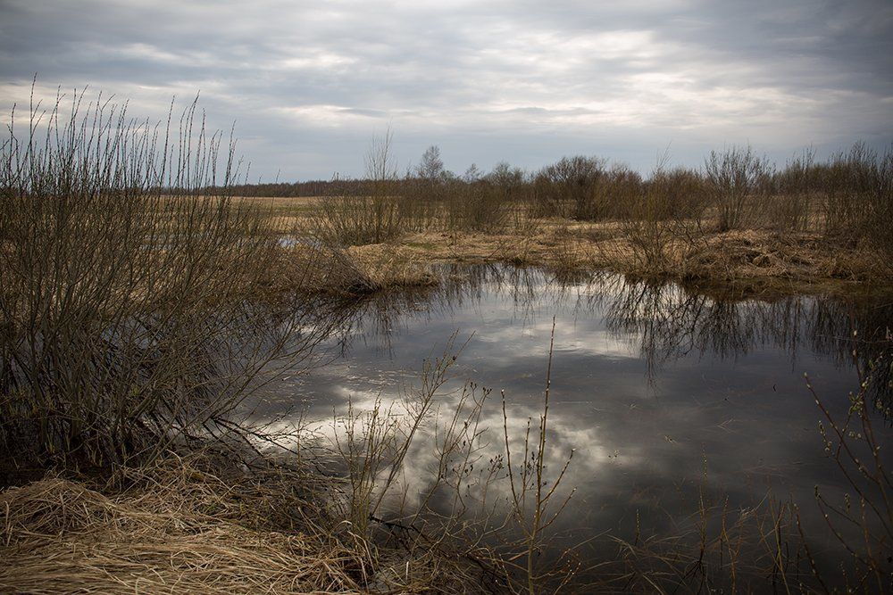 Восхитительные лужи