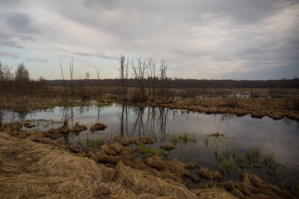 Умиротворение