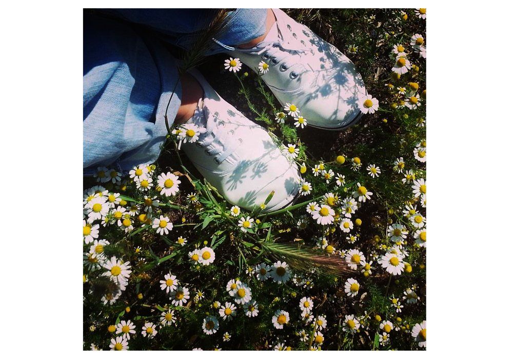 Шагаем в лето