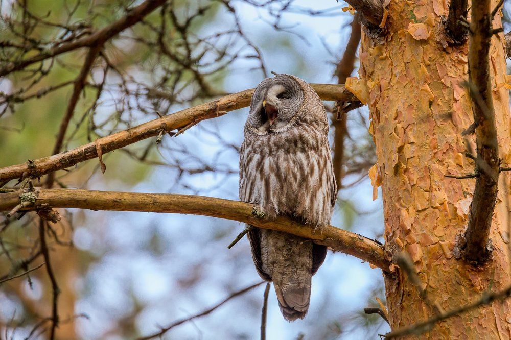 Доброе утро. Или вечер?