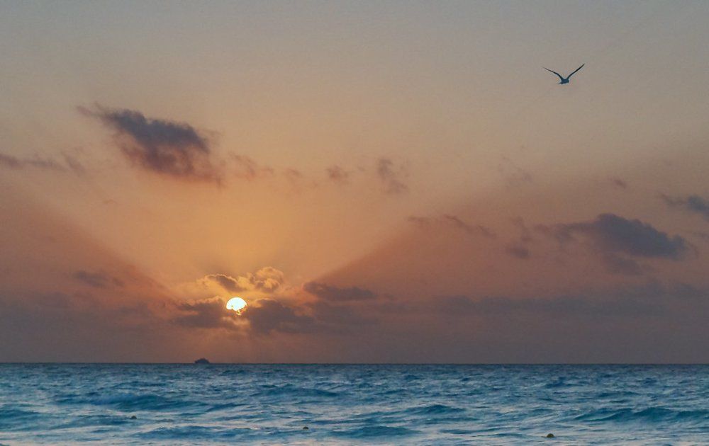 Последний луч