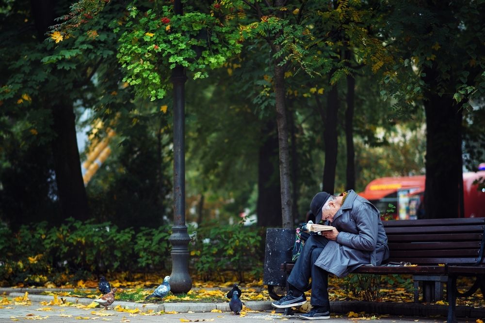 Старый Мастер .