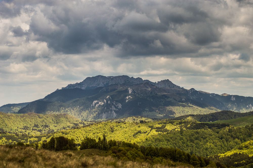 Photograph by Barbu Laurentiu